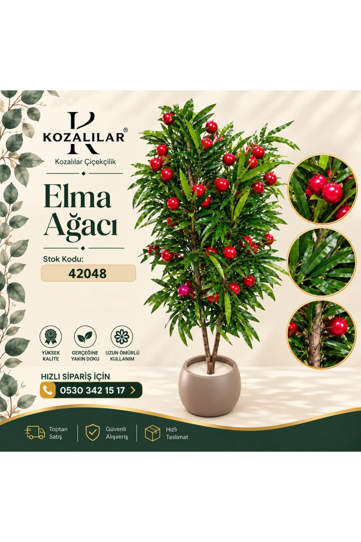 MEYVE AĞAÇLARI (ELMA/NAR/MUŞMULA)